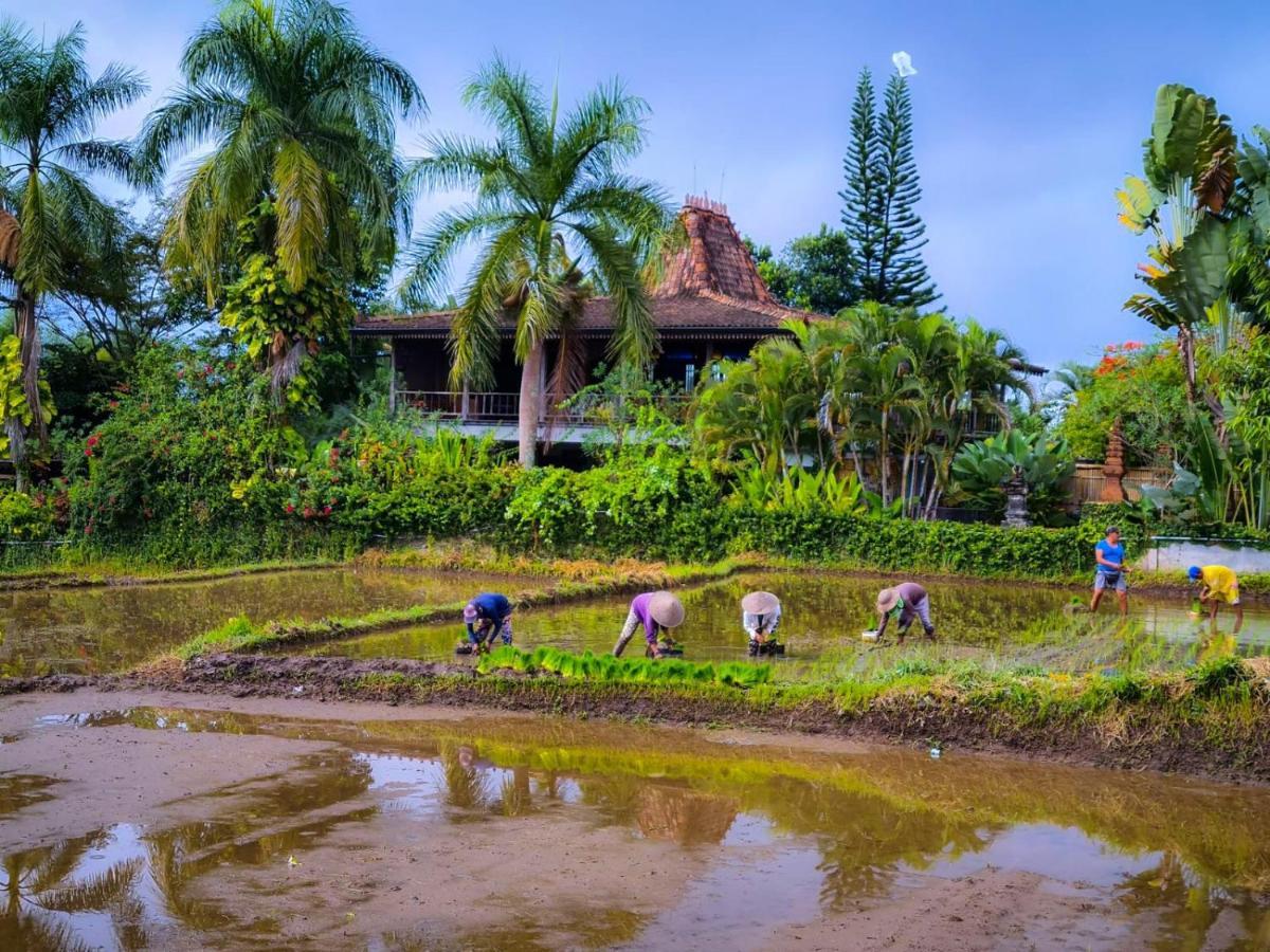 Ayu Dira Heritage House أوبود المظهر الخارجي الصورة